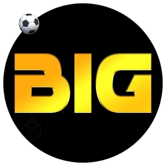 bighoki